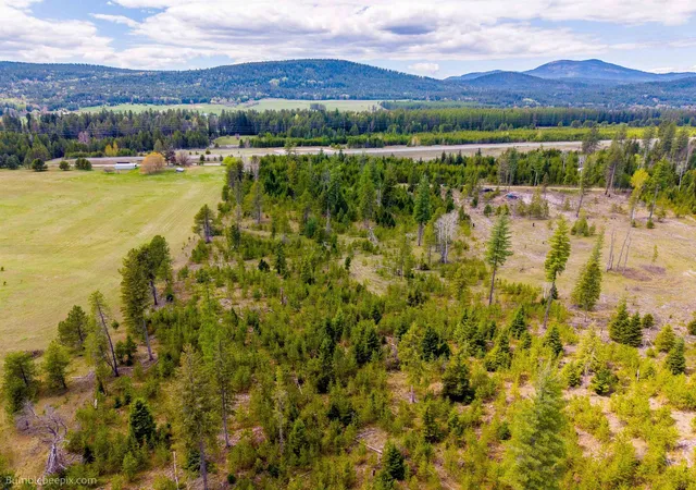 Photo 4 of Land for sale at Nkn Evergreen Rd, Ione, WA 99139 | MLS# 202616171 | Listing updated on 2026-08-21