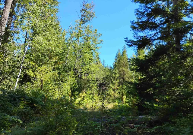 Photo 1 of Land for sale at Nka Calispel Trl, Newport, WA 99156 | MLS# 202616188 | Listing updated on 2026-08-28