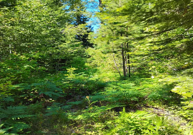 Photo 3 of Land for sale at Nka Calispel Trl, Newport, WA 99156 | MLS# 202616188 | Listing updated on 2026-08-28