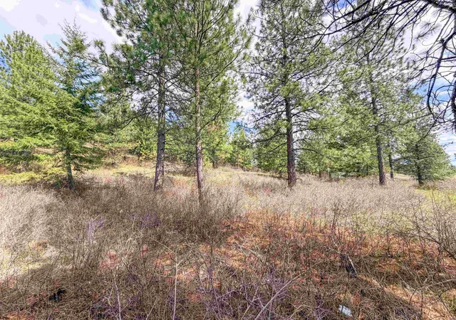 32nd image of 829 Dominion Springs Wy, Colville, WA 99114 | MLS# 202616237