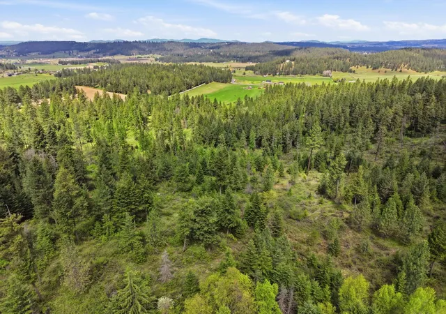 2nd image of Xxxx Woolard Rd, Colbert, WA 99005 | MLS# 202616249