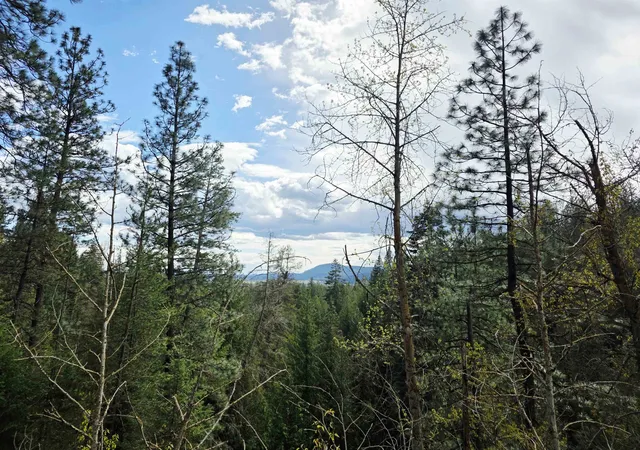 47th image of 2383 A Burnt Valley Rd, Chewelah, WA 99109 | MLS# 202616253