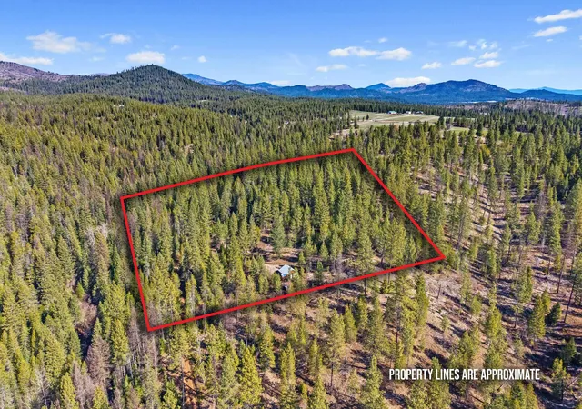 Homes for sale in Springdale, WA | 5324 Olinger Rd Rd, Springdale, WA 99173 | MLS# 202616257