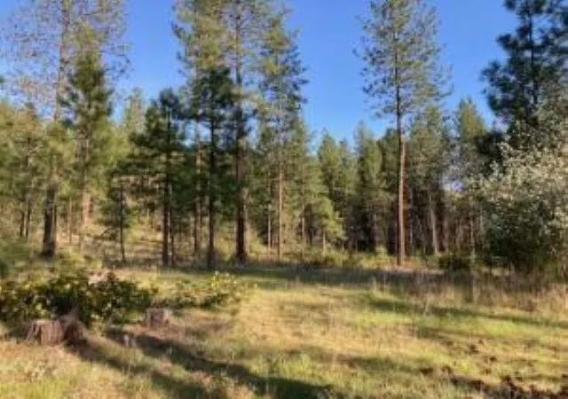 Photo 1 of Land for sale at 1172 Fumi Cir, Kettle Falls, WA 99141 | MLS# 202616275 | Listing updated on 2026-09-16