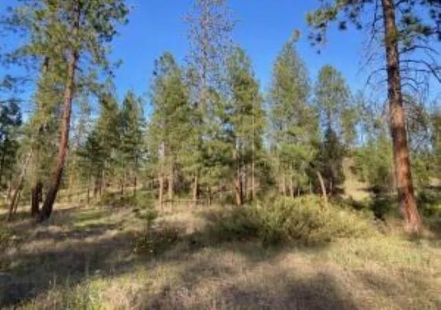 Homes for sale in Kettle Falls, WA | 1172 Fumi Cir, Kettle Falls, WA 99141 | MLS# 202616275