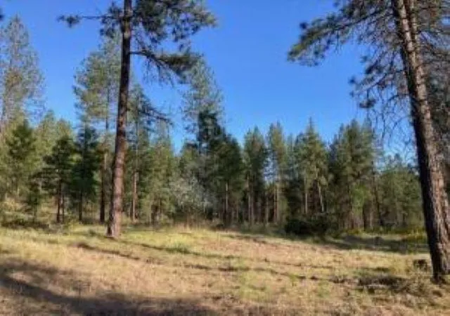 Photo 2 of Land for sale at 1172 Fumi Cir, Kettle Falls, WA 99141 | MLS# 202616275 | Listing updated on 2026-09-16