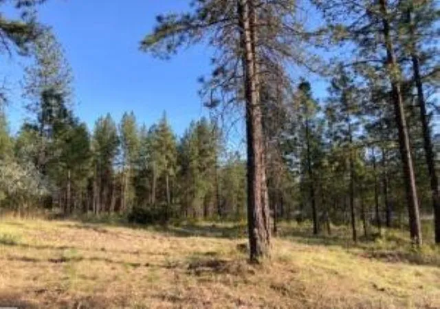 Photo 3 of Land for sale at 1172 Fumi Cir, Kettle Falls, WA 99141 | MLS# 202616275 | Listing updated on 2026-09-16