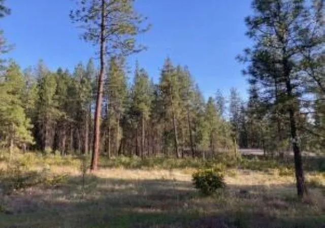 Photo 3 of Land for sale at 1172 Fumi Cir, Kettle Falls, WA 99141 | MLS# 202616275 | Listing updated on 2026-09-16