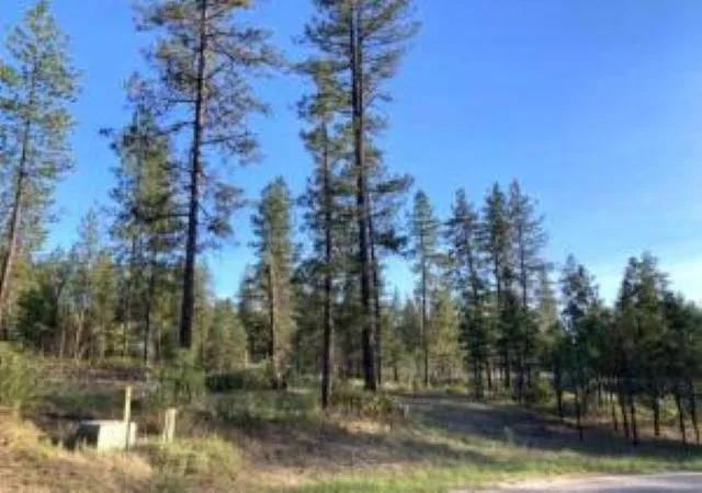 Photo 4 of Land for sale at 1172 Fumi Cir, Kettle Falls, WA 99141 | MLS# 202616275 | Listing updated on 2026-09-16