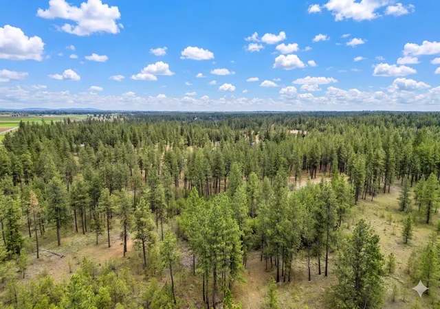 5th image of 17305 S Blasted Ln, Cheney, WA 99004 | MLS# 202616288