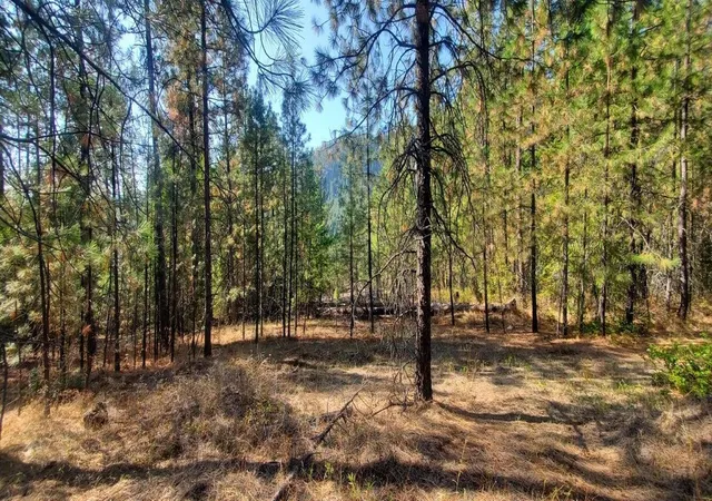 Homes for sale in Kettle Falls, WA | 3733-Xx Sand Creek Rd, Kettle Falls, WA 99141 | MLS# 202616388