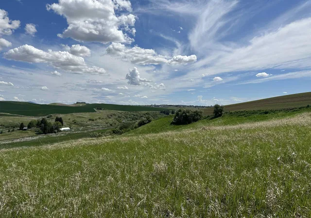 Photo 2 of Land for sale at 7xx S Armstrong Rd, Pullman, WA 99163 | MLS# 202616446 | Listing updated on 2026-05-15