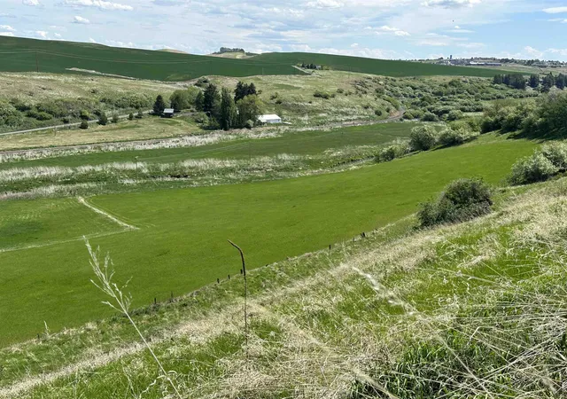 Photo 4 of Land for sale at 7xx S Armstrong Rd, Pullman, WA 99163 | MLS# 202616446 | Listing updated on 2026-05-15