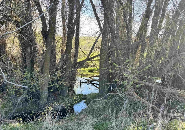 Photo 3 of Land for sale at Xx W Ross Ct, Davenport, WA 99122 | MLS# 202616518 | Listing updated on 2026-09-17