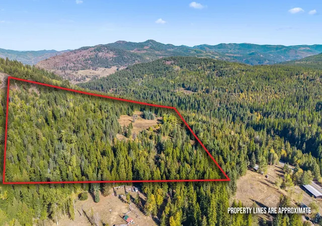 2nd image of 3841 Deep Lake Boundary Rd, Colville, WA 99114 | MLS# 202616525