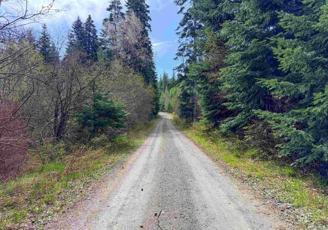 Homes for sale in Loon Lake, WA | 4224 C Grouse Creek Rd, Loon Lake, WA 99148 | MLS# 202616549
