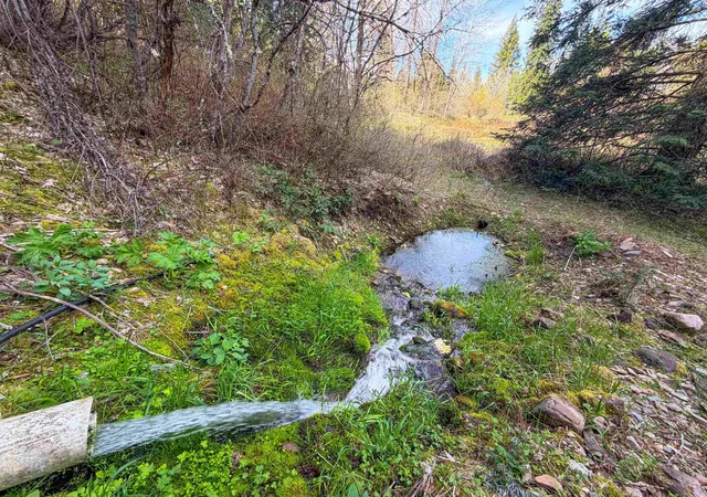 Homes for sale in Loon Lake, WA | 4224-C Grouse Creek Rd, Loon Lake, WA 99148 | MLS# 202616549