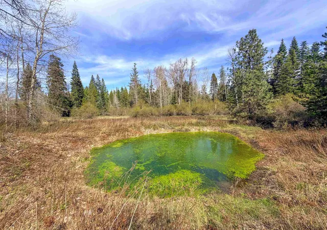 Homes for sale in Loon Lake, WA | 4224-C Grouse Creek Rd, Loon Lake, WA 99148 | MLS# 202616549