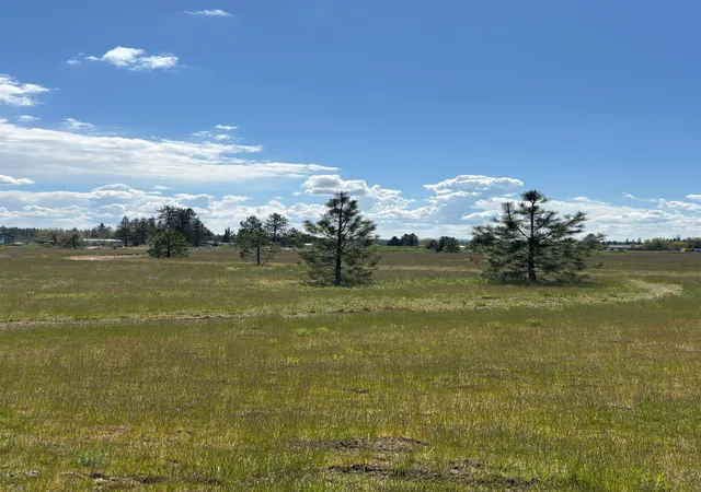5th image of 000 N Yale Rd, Colbert, WA 99005 | MLS# 202616555