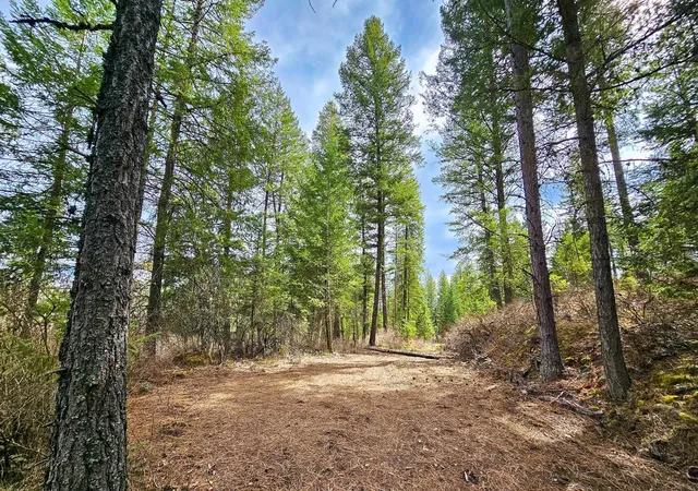 Photo 3 of Land for sale at Nka E Deer Park Milan Rd, Chattaroy, WA 99003 | MLS# 202616683 | Listing updated on 2026-05-15
