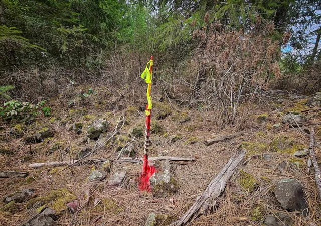 Photo 4 of Land for sale at Nka E Deer Park Milan Rd, Chattaroy, WA 99003 | MLS# 202616683 | Listing updated on 2026-05-15