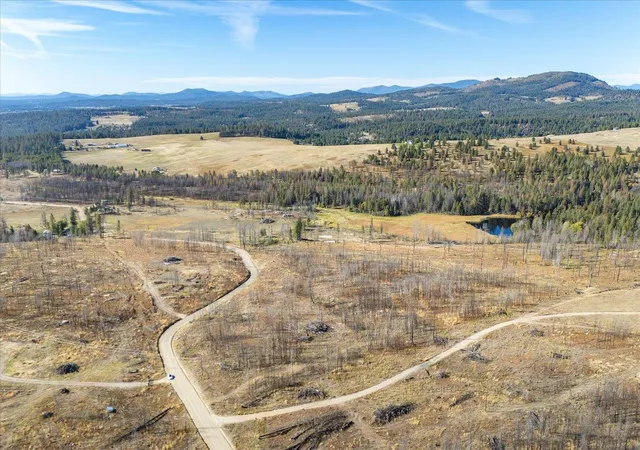 Homes for sale in Elk, WA | Xxx E Frideger Rd, Elk, WA 99009 | MLS# 202616694