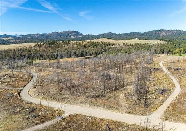 Homes for sale in Elk, WA | Xxx E Frideger Rd, Elk, WA 99009 | MLS# 202616694