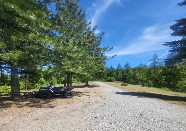 Homes for sale in Loon Lake, WA | 42484 Mt Moriah Wy, Loon Lake, WA 99148 | MLS# 202616784