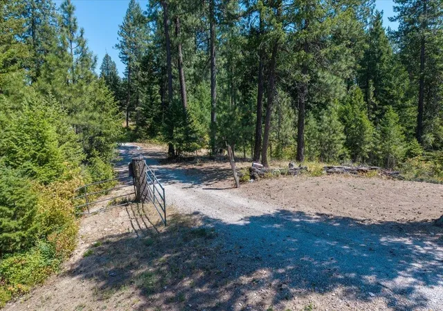 1st image of 42484 Mt Moriah Wy, Loon Lake, WA 99148 | MLS# 202616784