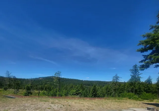 Homes for sale in Loon Lake, WA | 42484 Mt Moriah Wy, Loon Lake, WA 99148 | MLS# 202616784