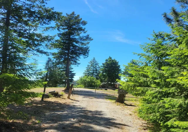 Homes for sale in Loon Lake, WA | 42484 Mt Moriah Wy, Loon Lake, WA 99148 | MLS# 202616784