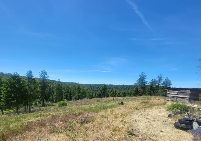 Homes for sale in Loon Lake, WA | 42484 Mt Moriah Wy, Loon Lake, WA 99148 | MLS# 202616784