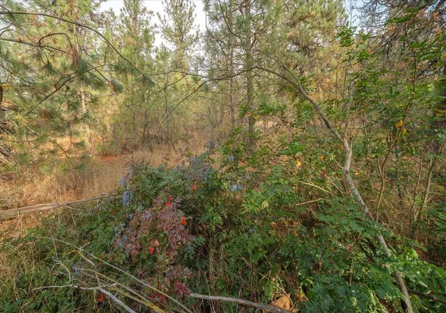 Homes for sale in Medical Lake, WA | 201xx W Waterside Ct, Medical Lake, WA 99022 | MLS# 202616812