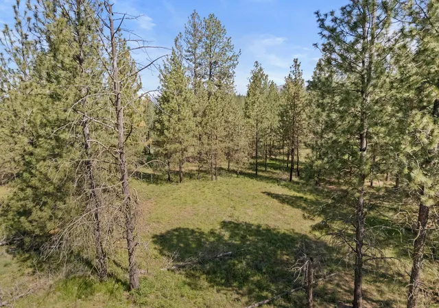 Photo 3 of Land for sale at 6601 Stony Way, Nine Mile Falls, WA 99026 | MLS# 202616826 | Listing updated on 2026-09-12