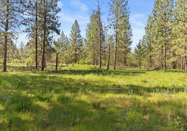 Photo 3 of Land for sale at 6601 Stony Way, Nine Mile Falls, WA 99026 | MLS# 202616826 | Listing updated on 2026-09-12