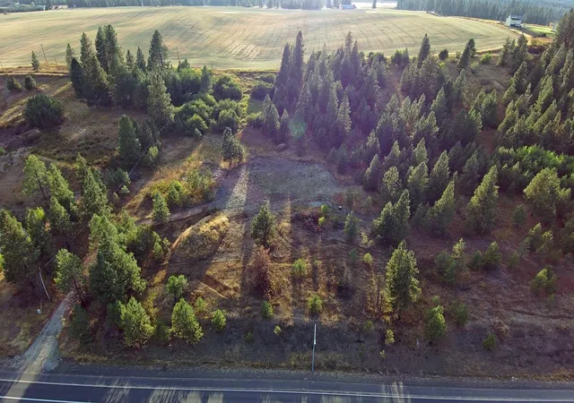 2nd image of 14117 E E Gibbs Rd, Mica, WA 99023 | MLS# 202616871