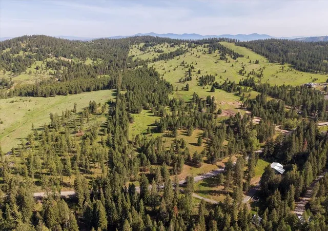 1st image of Tbd E Belmont Rd, Mica, WA 99023 | MLS# 202616891