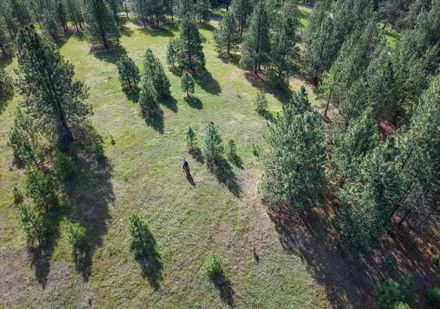 27th image of Tbd E Belmont Rd, Mica, WA 99023 | MLS# 202616891