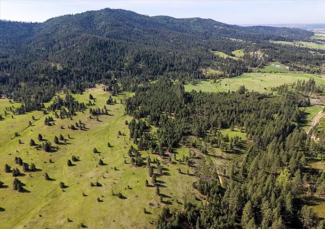 3rd image of Tbd E Belmont Rd, Mica, WA 99023 | MLS# 202616891
