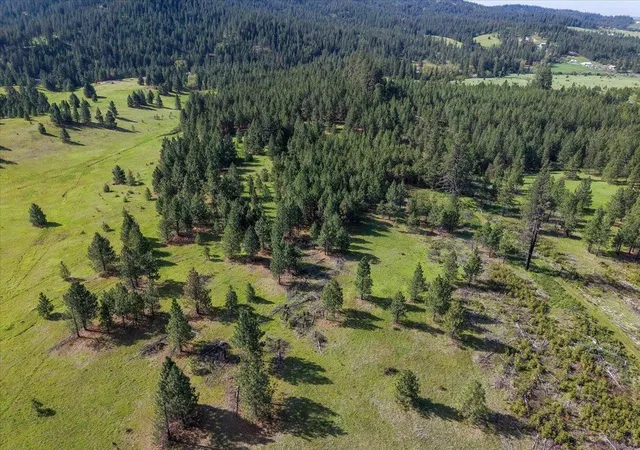 4th image of Tbd E Belmont Rd, Mica, WA 99023 | MLS# 202616891
