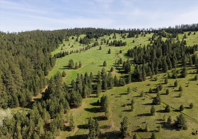 5th image of Tbd E Belmont Rd, Mica, WA 99023 | MLS# 202616891