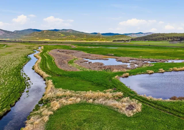 Photo 3 of Land for sale at 27xx Newton Rd, Chewelah, WA 99109 | MLS# 202616895 | Listing updated on 2026-08-15