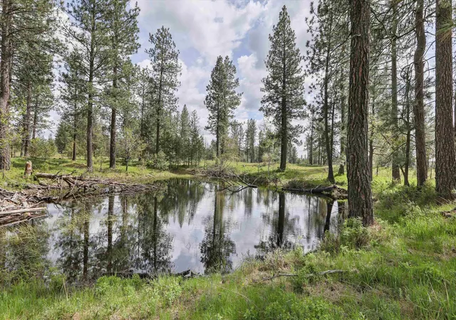 4th image of Nka Malloy Prairie Rd, Cheney, WA 99004 | MLS# 202616903