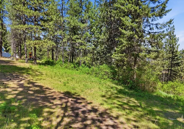 Homes for sale in Rockford, WA | 12703 S Alpine Fern Rd, Rockford, WA 99030 | MLS# 202616921
