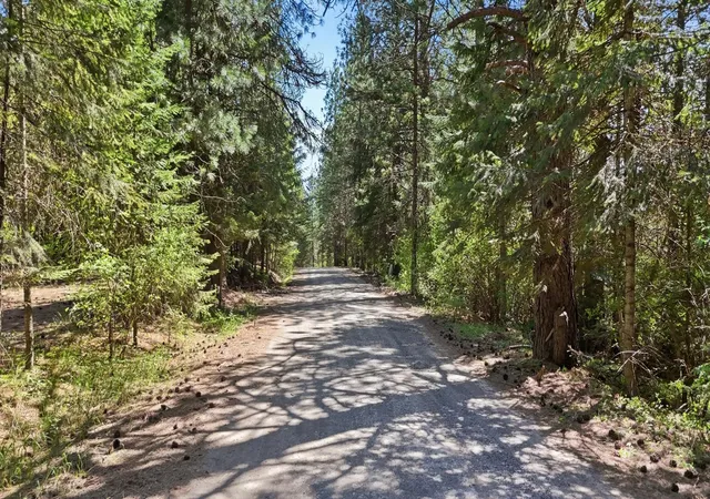 Homes for sale in Rockford, WA | 12703 S Alpine Fern Rd, Rockford, WA 99030 | MLS# 202616921
