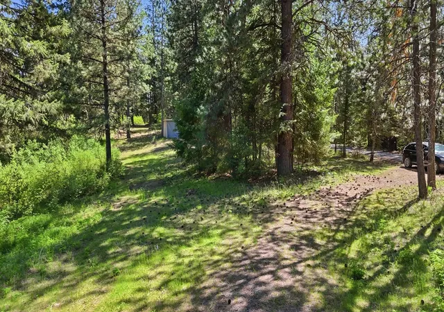 Homes for sale in Rockford, WA | 12703 S Alpine Fern Rd, Rockford, WA 99030 | MLS# 202616921