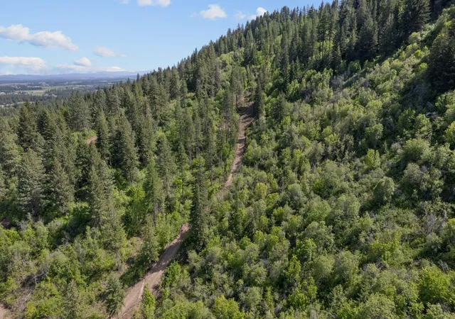 Photo 3 of Land for sale at 4941 Redman Lots A B C Rd, Clayton, WA 99110 | MLS# 202617053 | Listing updated on 2026-08-26