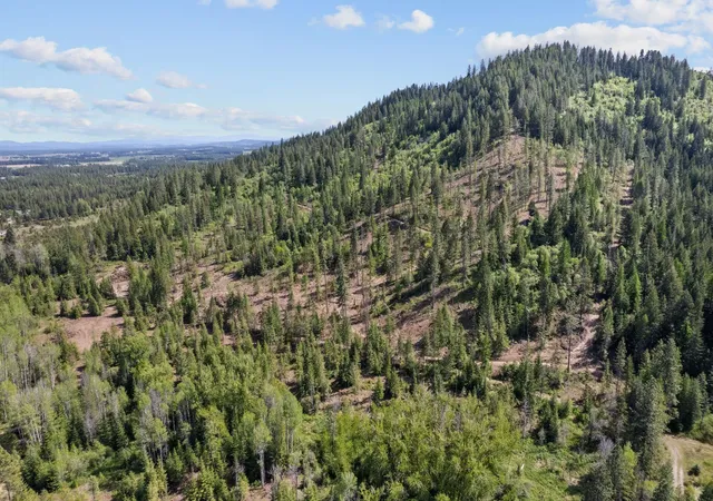 Photo 1 of Land for sale at 4941 Redman Lots B And C Rd, Clayton, WA 99110 | MLS# 202617056 | Listing updated on 2026-08-19