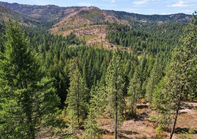 Photo 2 of Land for sale at 4941 Redman Lots B And C Rd, Clayton, WA 99110 | MLS# 202617056 | Listing updated on 2026-08-19