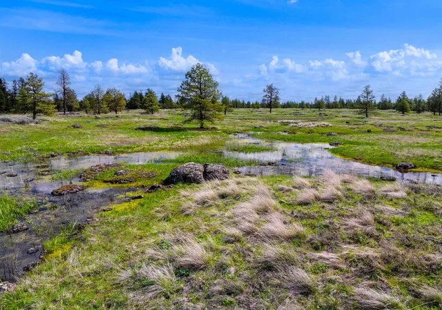 3rd image of 21Xxx S S Harrison Rd Rd, Edwall, WA 99008 | MLS# 202617086